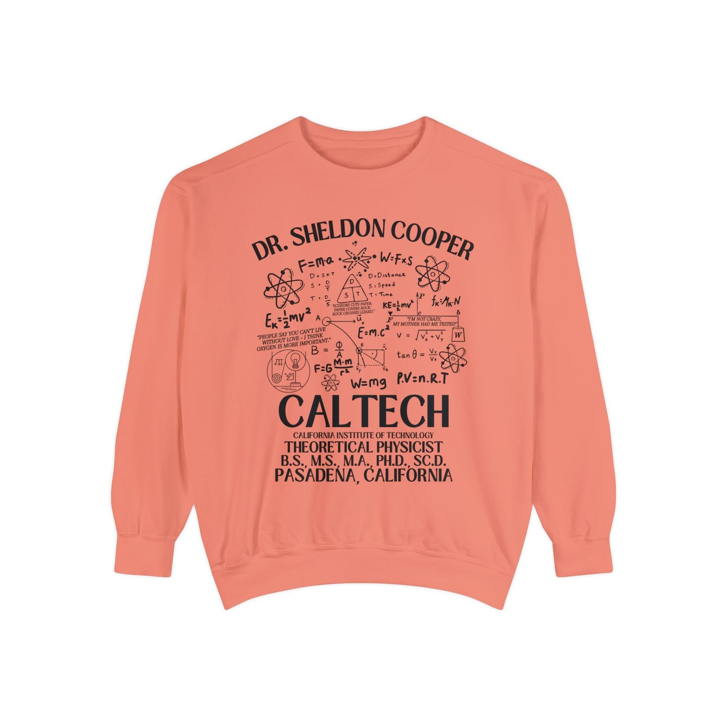 Comfort Colors® Big Bang Theory TV Show Sweatshirt
