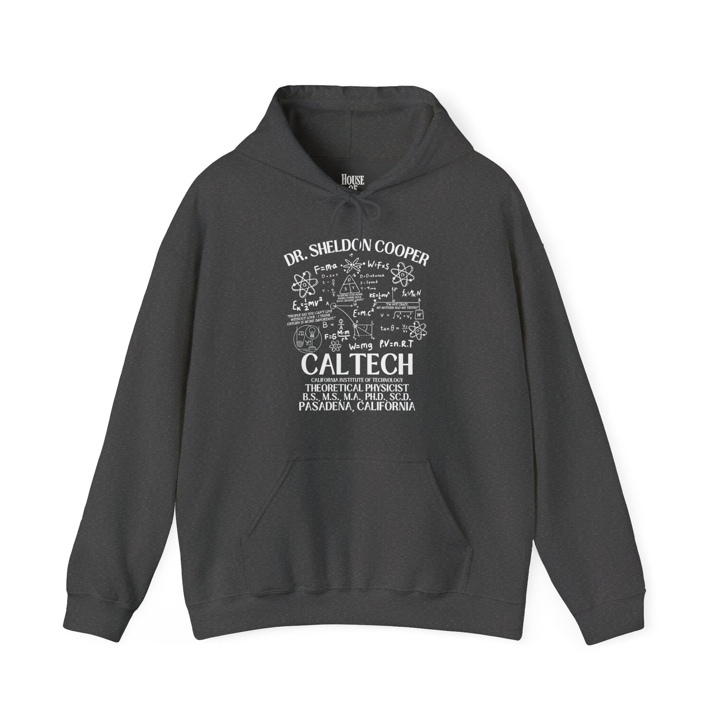 Big Bang Theory Tv Show Hoodie