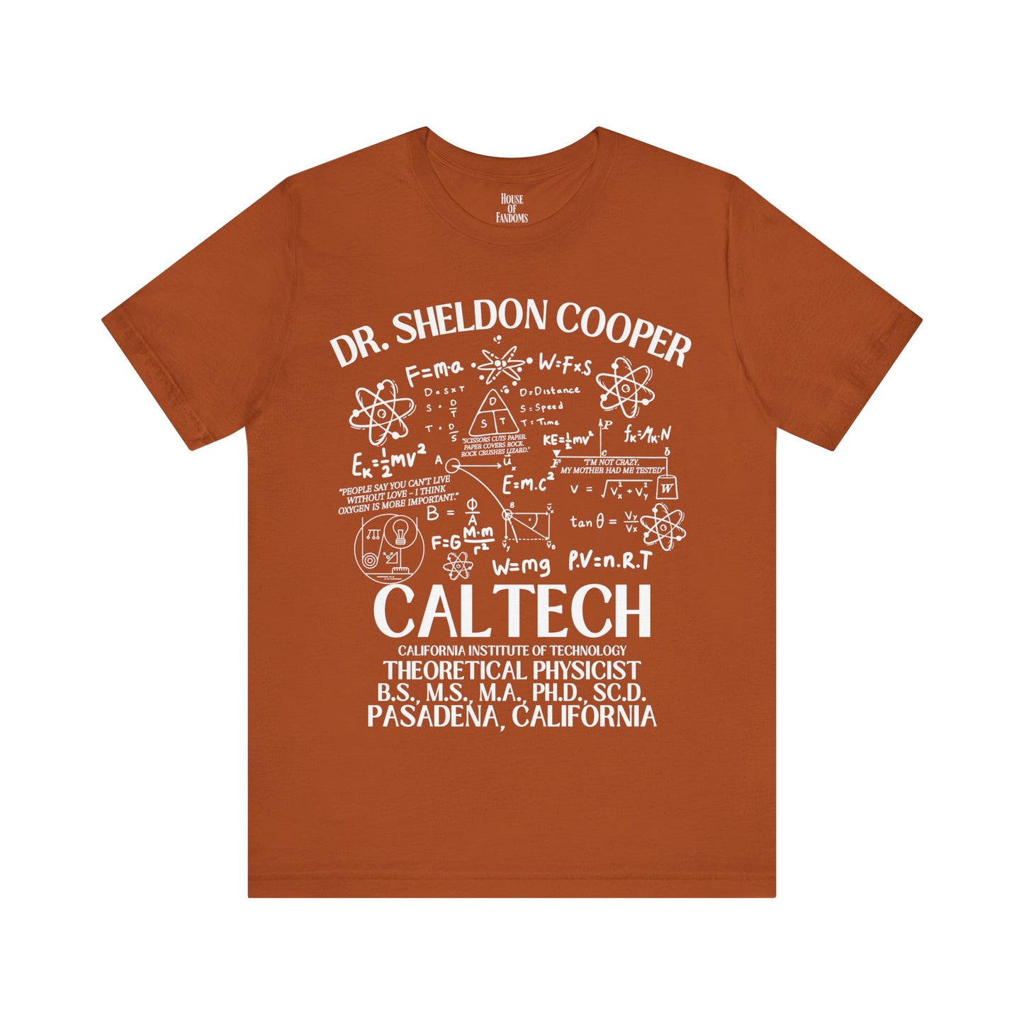 Big Bang Theory TV Show Shirt