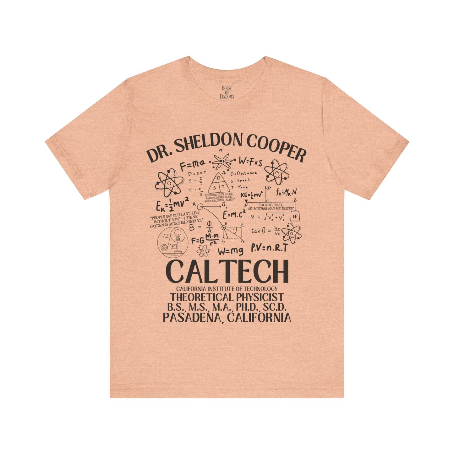 Big Bang Theory TV Show Shirt