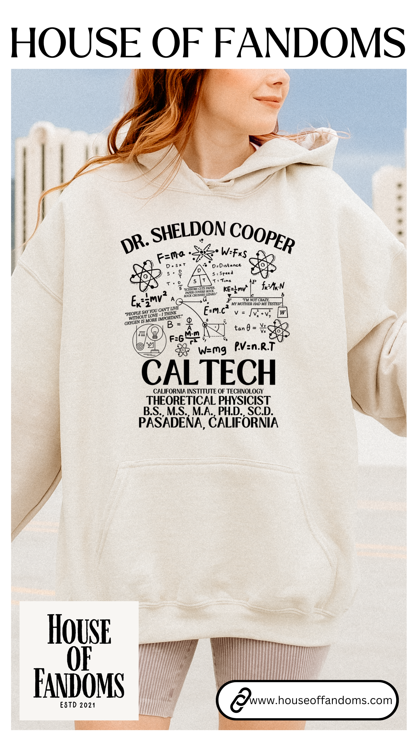 Big Bang Theory Tv Show Hoodie